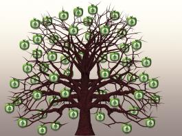 A tree with money